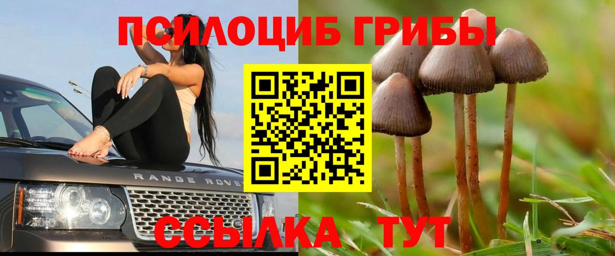 Галлюциногенные грибы MAGIC MUSHROOMS  Вход с VPN  Псилоцибиновые грибы мицелий  Добрянка 